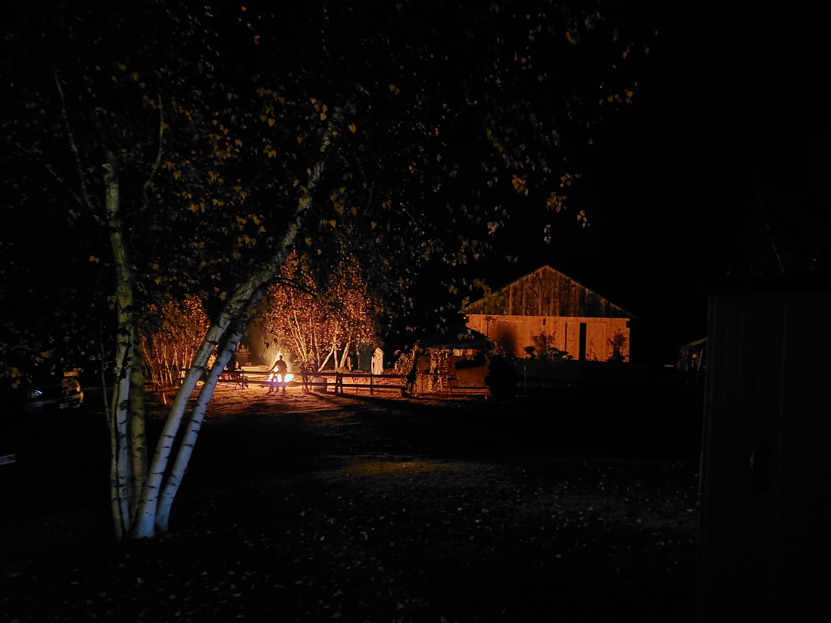 Reader Pics: Nov. 3